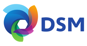 Koninklijke DSM NV